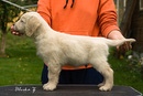 G_Indiana_Jones_8weeks_web