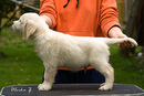 G_Inglesias_8weeks_web