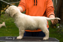 G_Isaac_Hayes_8weeks_web