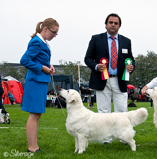 Caddie