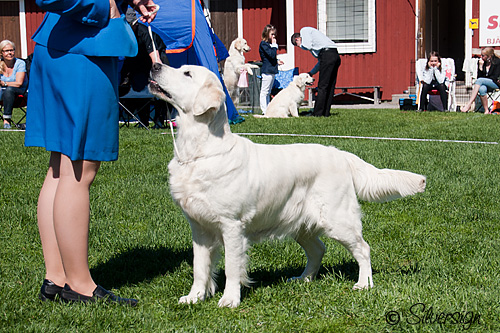 P&auml;rlan