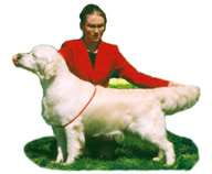 Ch Dewmist Silverinda