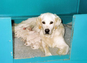 Foto: Ulrika Zetterfeldt