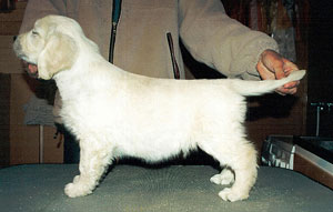 Foto: Ulrika Zetterfeldt