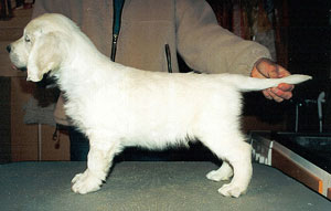 Foto: Ulrika Zetterfeldt