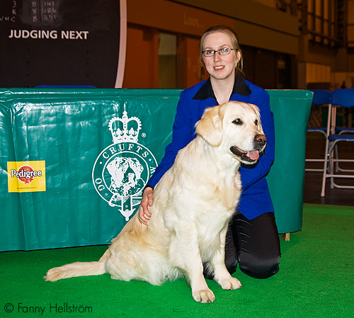 Crufts 2008